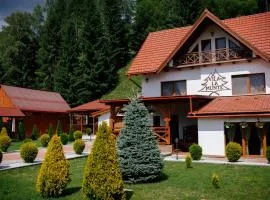 Casa la munte