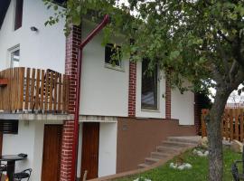 Kuca za odmor Vinica breg, holiday home in Varaždin