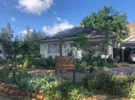 House 22