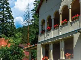 Aronson Villa Tusnad