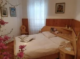 Bed & Breakfast LA BETULLA