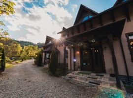 Pensiunea Valea cu Salcâmi, guest house in Vişeu de Jos