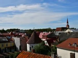 Bright penthouse with magical view to the Old Town