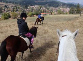 Dona Guest House - Horse Riding, hotel u blizini znamenitosti 'Todor Kableshkov Memorial House' u gradu 'Koprivštica'