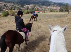 Dona Guest House - Horse Riding, Hotel in Kopriwschtiza