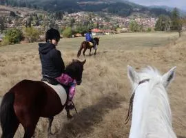 Dona Guest House - Horse Riding