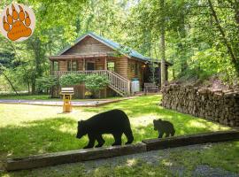 Cozy Bear, cabaña o casa de campo en Sevierville