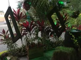 Torettos