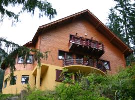 Vila Gal, holiday home in Lacu Rosu