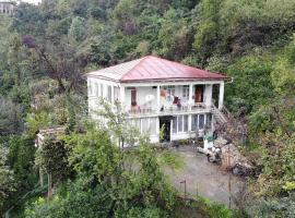 Guest house and cellar winery in Ortabatumi Batumi Georgia, hotel con parking en Batumi