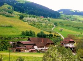 Lunzenhof, hotel v destinaci Oberharmersbach