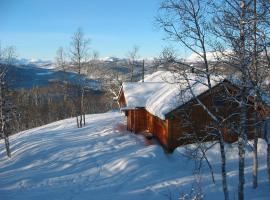 Milonga - 3 bedroom cabin, chalet de montaña en Ål