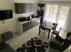 APARTAMENT GOLDEN ROSE 2, hotel blizu znamenitosti Dvorac Cantacuzino, Bušteni