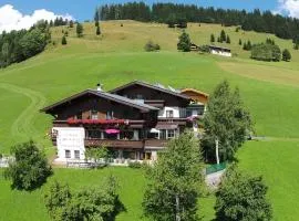 Modern holiday home near the ski area