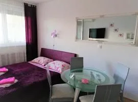 Lanterna Apartment - free parking in garage