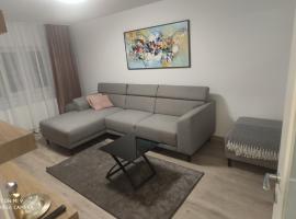 Popasu din oras, alojamiento con cocina en Baia Mare