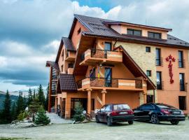 Pensiunea Ingrid, hotel in Ranca