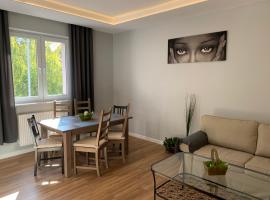 Grey apartment 50 m2, vacation rental in Tarnowskie Góry