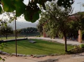 Tenuta Cà Di Bertucci