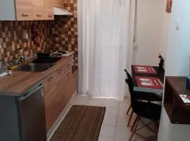 Kosta's Apartment 1