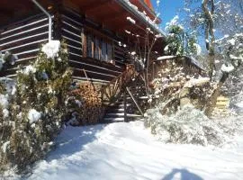 Chałupa z widokiem w górach