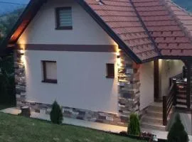 Kuca za odmor Drina i Tara