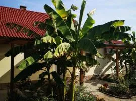 Ráday Apartman