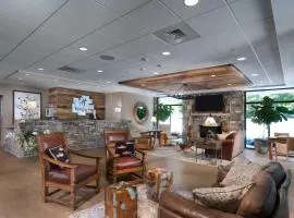 Holiday Inn Asheville East-Blue Ridge Pkwy by IHG