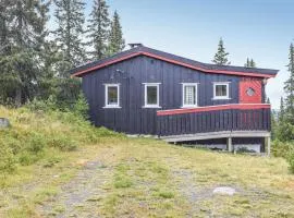 Stunning Home In Sjusjøen With Kitchen