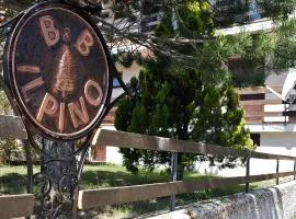 B&B IL PINO