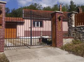 Casa Dragoi din Socolari, Caras - Severin, guest house in Socolari