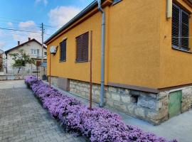 Guesthouse Stojanović, privatni smještaj u gradu 'Negotin'