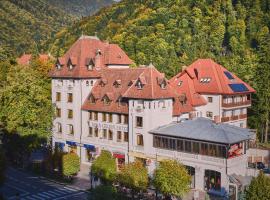 ホテル リナ セルブル（Hotel Rina Cerbul）、シナイアのホテル