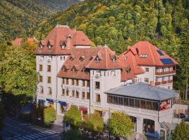 Hotel Rina Cerbul, hotel en Sinaia