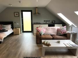 Lakeside Studio 1 Loft Apartment, pet-friendly hotel in Enniskillen