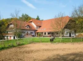 APARTMENT ZYNGA - STUD FARM