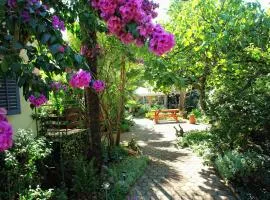 Villa Regina island Cres, 70m from the sea