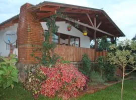 La casa del Lago - The lake house !