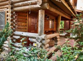 Zolotoy Bereg Hotel, hotel pantai di Chernihiv