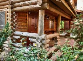Zolotoy Bereg Hotel、チェルニーヒウのコテージ