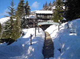 Crystal Chalets, hotel cu parcare din Greenwater