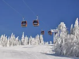 Mobilheime