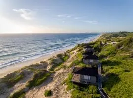 Sava Dunes