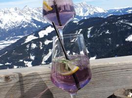 Ferienhaus Pöttler, hotel di Untertauern