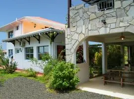 Villa de charme avec piscine MQAA07