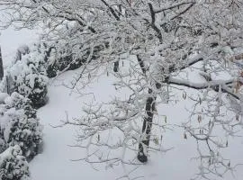 בחיק החרמון