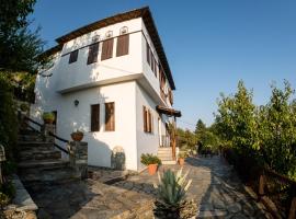 Pelion House with Wonderful View, hotel in Vyzitsa