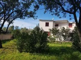 House Mia