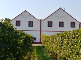 Penzion a vinařství Lelíkovi, habitación en casa particular en Dolní Dunajovice