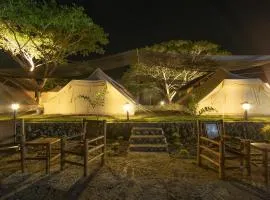 The Acacia Glamping Park